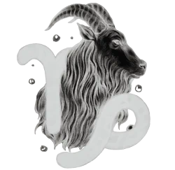 Logo Capriconsulting